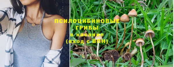 Альфа ПВП Алексин
