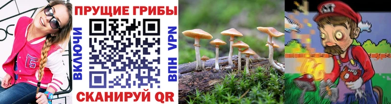 Псилоцибиновые грибы мицелий  купить закладку  Нижний Ломов 